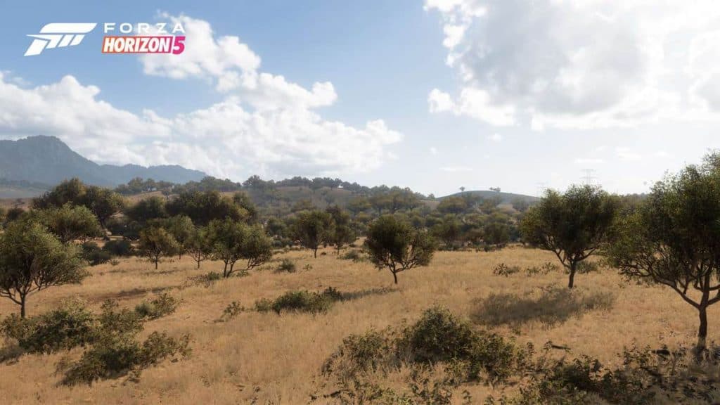 From a Living Desert to a Volcano’s Peak: Exploring Forza Horizon 5’s Biomes and Seasons